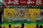 Dcim4810/DSC_1906