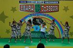 Dcim4810/DSC_1913
