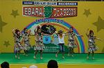 Dcim4810/DSC_1916