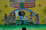 Dcim4810/DSC_1918