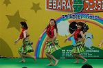 Dcim4811/DSC_2003
