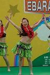 Dcim4811/DSC_2009