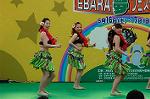 Dcim4811/DSC_2020