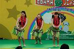 Dcim4811/DSC_2023