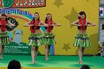 Dcim4811/DSC_2038