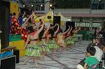 Dcim4811/DSC_2056