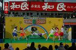 Dcim4811/DSC_2073