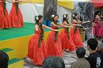 Dcim4813/DSC_2202