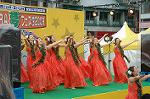 Dcim4813/DSC_2204