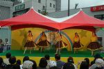 Dcim4814/DSC_2234
