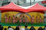 Dcim4814/DSC_2249
