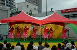 Dcim4814/DSC_2254