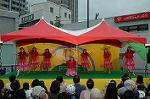 Dcim4814/DSC_2255