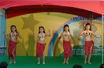 Dcim4814/DSC_2264