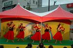 Dcim4814/DSC_2309