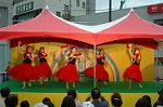 Dcim4814/DSC_2311