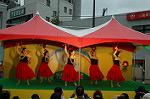 Dcim4814/DSC_2313