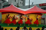 Dcim4814/DSC_2316
