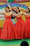 Dcim4815/DSC_5593
