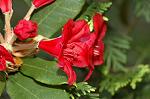 Dcim4817/DSC_2360