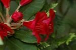 Dcim4817/DSC_2361