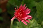 Dcim4817/DSC_2437