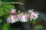 Dcim4817/DSC_2475
