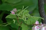 Dcim4817/DSC_2476