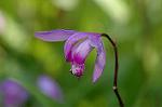 Dcim4818/DSC_2586