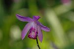Dcim4818/DSC_2587