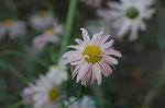 Dcim4820/DSC_2775
