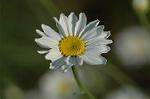 Dcim4820/DSC_2802