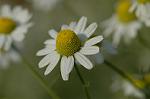 Dcim4821/DSC_2881