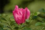 Dcim4821/DSC_2948