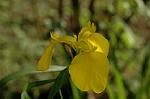 Dcim4821/DSC_2957