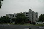 Dcim4826/DSC_3656