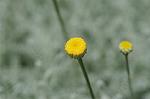 Dcim4830/DSC_6088