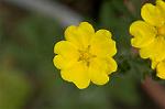 Dcim4830/DSC_6120