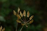 Dcim4831/DSC_6164