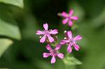 Dcim4832/DSC_6348