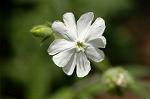 Dcim4832/DSC_6388