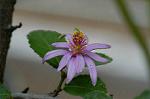 Dcim4833/DSC_6453