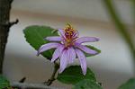 Dcim4833/DSC_6455