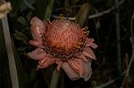 Dcim4833/DSC_6524