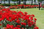 Dcim4839/DSC_0500