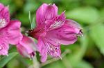 Dcim4841/DSC_0659