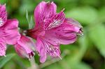 Dcim4841/DSC_0662