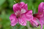 Dcim4841/DSC_0663