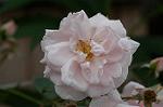 Dcim4841/DSC_0679