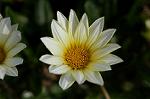 Dcim4841/DSC_0727